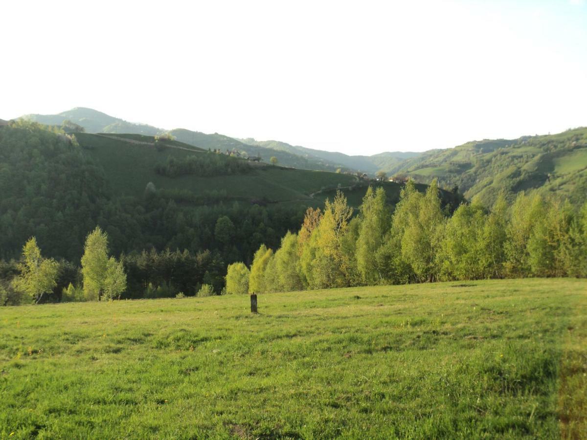 Hotel Casa De Vis Poiana Mărului Esterno foto